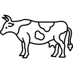 Cow 

