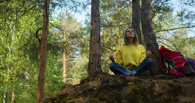 Unity with nature and meditation in the forest. Young woman start meditating in a morning pine forest. Solitude with your thoughts and nature. Nature as a path to mental health.