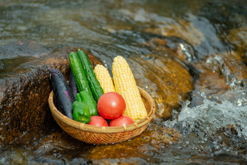 清流とザルに入れた夏野菜