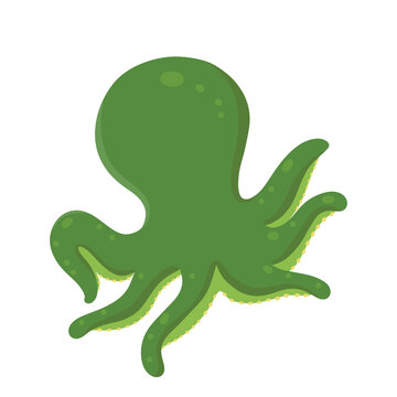 Octopus 