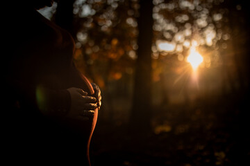 Brzuch ciążowy - obrazy, fototapety, plakaty