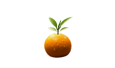 orange fruit with leaf HD transparent background PNG Stock Photographic Image