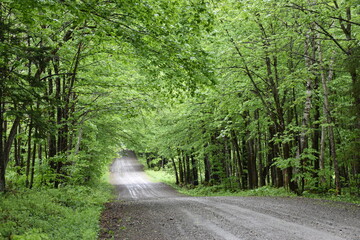 A country road in summer, Sainte-Apolline, Québec, Canada