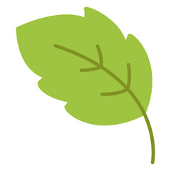 Illustration of Leaf design Flat Icon
