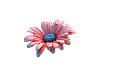 pink gerbera flower HD transparent background PNG Stock Photographic Image