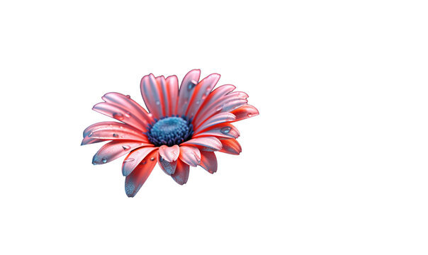 pink gerbera flower HD transparent background PNG Stock Photographic Image