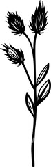 Drawing Flower