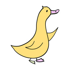 banana cartoon duck 