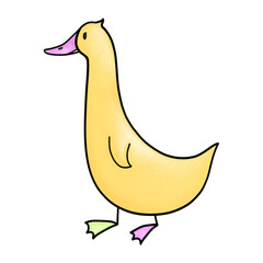 Duck cute 