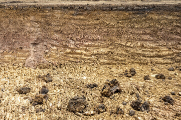 Background view of the basement section, which was dug into the shore.