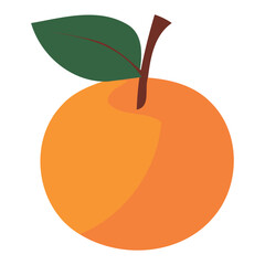 Juicy orange illustration