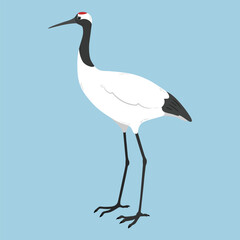 Simple and adorable flat colored Red-crowned crane illustration