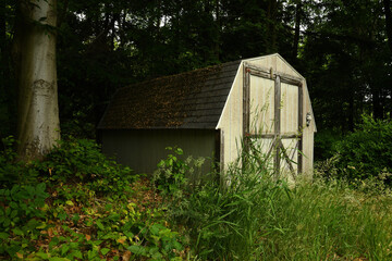 Rustic barn shed in woods, Upstate New York
