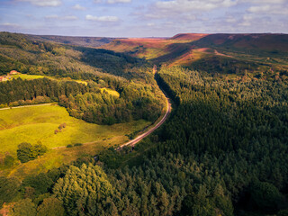 Newton Dale is a narrow dale within the North York Moors National Park in North Yorkshire, England....