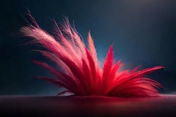 Obraz premium red feather on black
