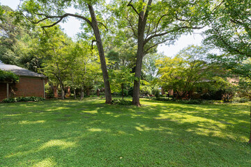 yard outdoor area