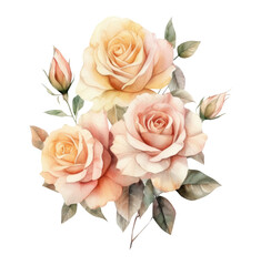 Watercolor roses flowers, summer flower bouquet, Generative AI, png image.