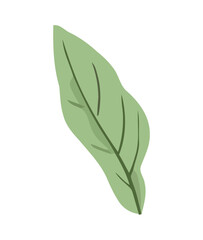 green leaf symbolize nature growth and freshness