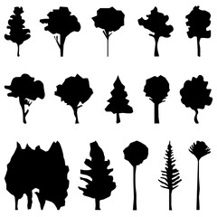 silhouettes of trees bushes, spruce, palm.