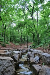 나무, 네이처, h2o, 나무, 강, 개울, 돌, green, 나무, 경관, 바위, 공원, 마운튼, 나무, 폭포, 바위, 이끼, 나무, 여름, 경로, 여행, 목초, 마운튼, 산책로, 봄