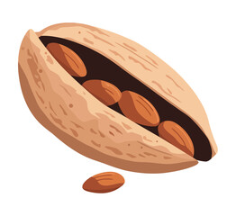 Fresh organic nuts design