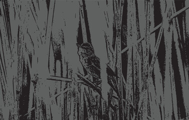 A bird sitting on a branch