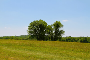 Obraz premium Hermitage state park, Nashville, TN