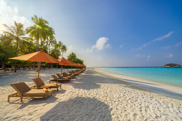 Fantastic panoramic view. Sandy shore soft sunrise sunlight over chairs umbrella and palm trees....