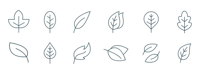 Leaf icon. Vector illustrations of botany, herbal, ecology, bio, organic, vegetarian, eco, fresh, and natural icon set