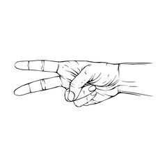Hand drawn gesture sketch vector illustration line art