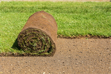 Close up shot of natural green grass turf roll. Laying rolls of grass sod for landscape design in...
