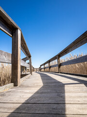 bridge over the river