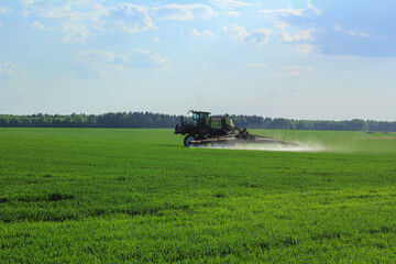 Fototapeta premium Tractor spraying wheat field with sprayer, herbicides and pesticides