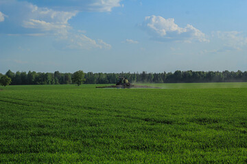Fototapeta na wymiar Tractor spraying wheat field with sprayer, herbicides and pesticides