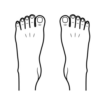 Two bare human feet. Top view. Foot legs. Vector flat outline icon illustration isolated on white background.