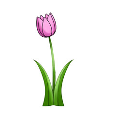 Coloring tulip.