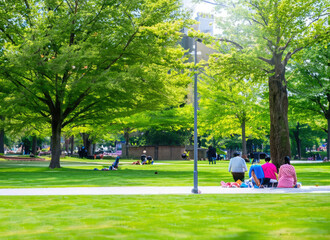 people in the park