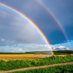 Naklejka premium rainbow over field