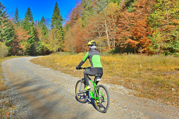 Woman riding a bicycle in forest in autumn at bright sunny day. Colorful landscape with sporty woman riding a mountain bike, dirt road, trees with orange and yellow leaves in fall. Sport and travel