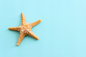 Fototapeta na wymiar nautical concept starfish over blue background