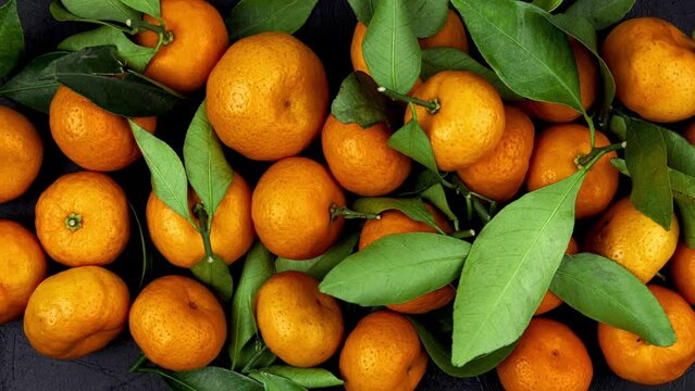 Ripe juicy tangerines or mandarines with leaves top view close-up