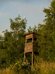 Ambona myśliwska - polowanie © MarcinRoj.Fotografia