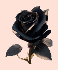 A black rose with a subtle glow on the petals beautiful awesome vector flower