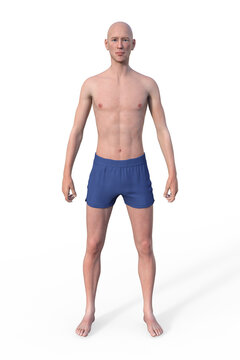 A 3D illustration of a male body with ectomorph body type