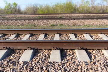 Naklejka premium railroad tracks in the forest