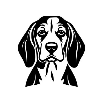 Beagle dog cartoon on white background illustration