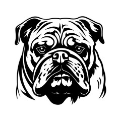 bulldog cartoon on white background illustration