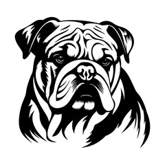 bulldog cartoon on white background illustration