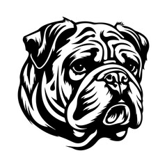 bulldog cartoon on white background illustration