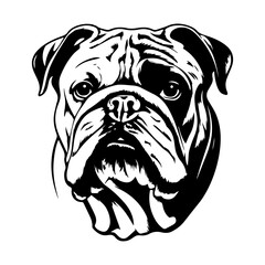 bulldog cartoon on white background illustration